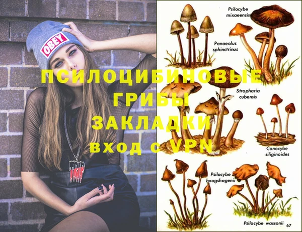 spice Балахна